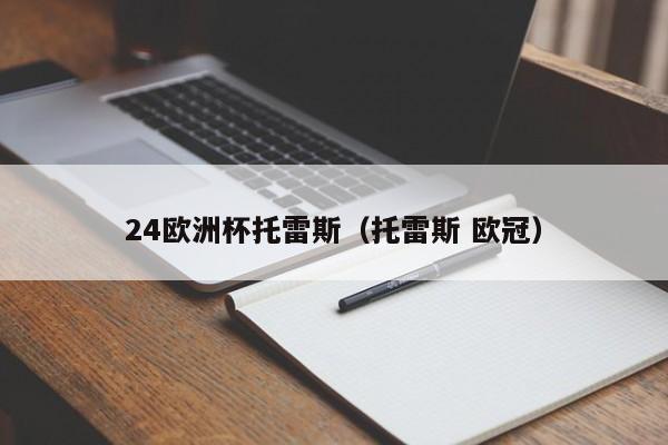 24欧洲杯托雷斯（托雷斯 欧冠）