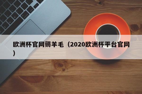 欧洲杯官网薅羊毛（2020欧洲杯平台官网）