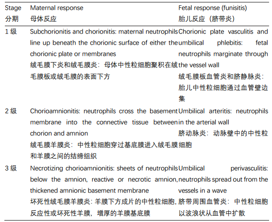 外科病理学实践：诊断过程的初学者指南 | 第18章 胎盘（Placenta）